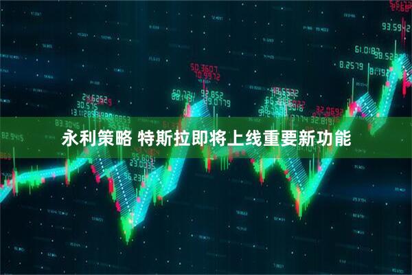 永利策略 特斯拉即将上线重要新功能